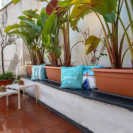 San Teodoro With Private Terrace